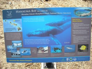 Hanauma Bay 4